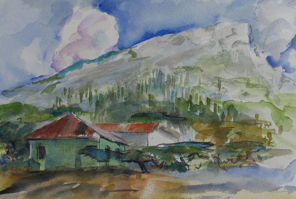 Laurent Félix-Faure watercolor - Surinam-2-IMG_5501